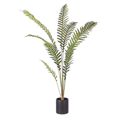 Artificial Hare's Foot Fern Tree 210cm