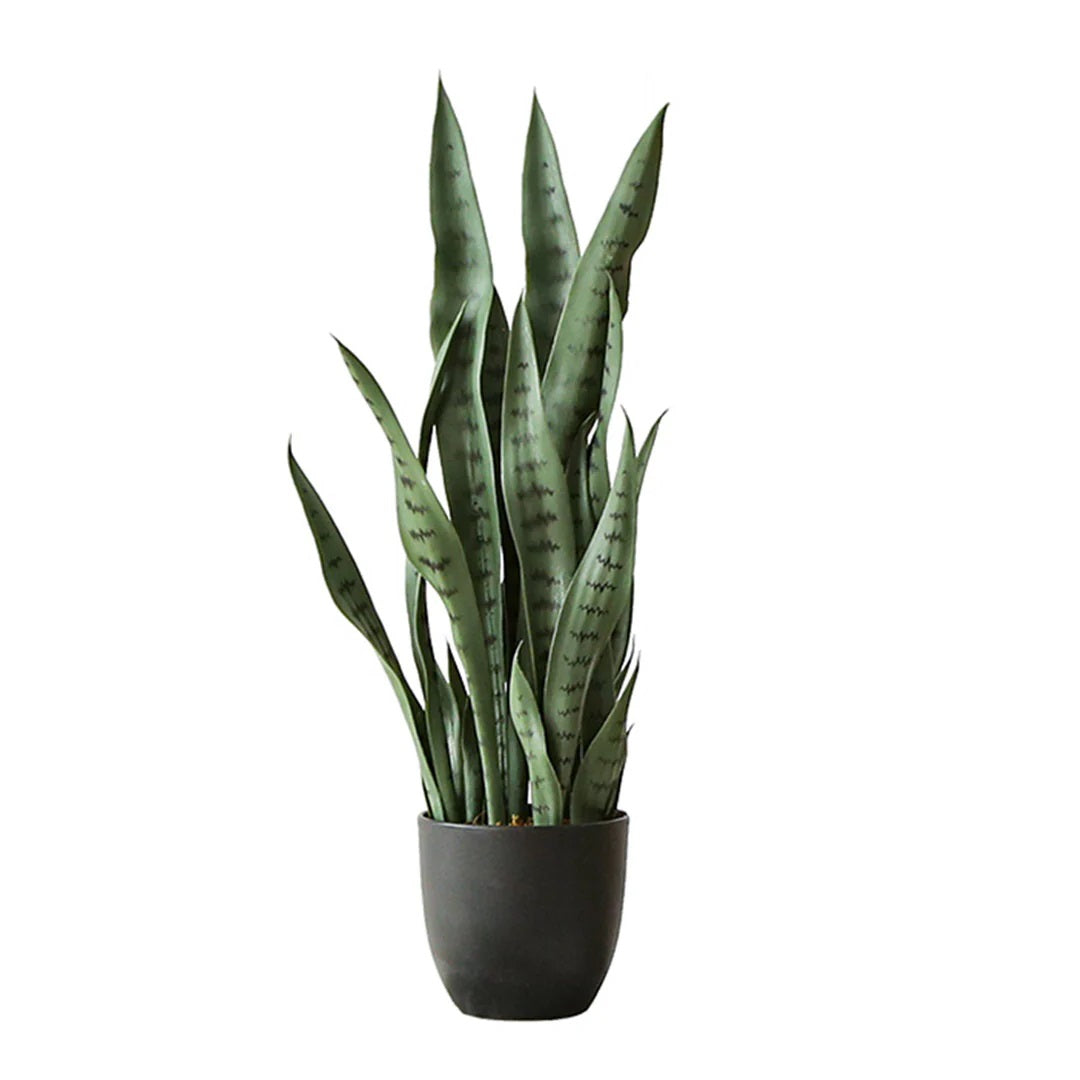 Artificial Snake Plant 97cm with Black Planter