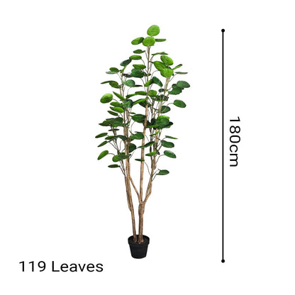 Large Artificial Polyscias Tree 180cm