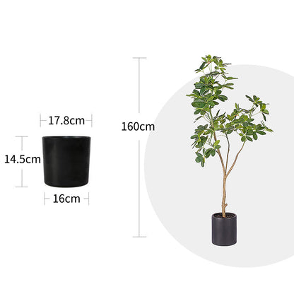 Artificial Schefflera Umbrella Tree 160cm