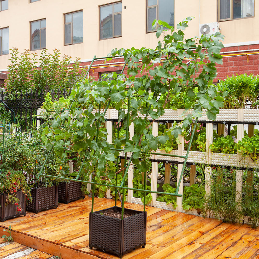 Inclined Garden Trellis Plant Frame 160x160cm