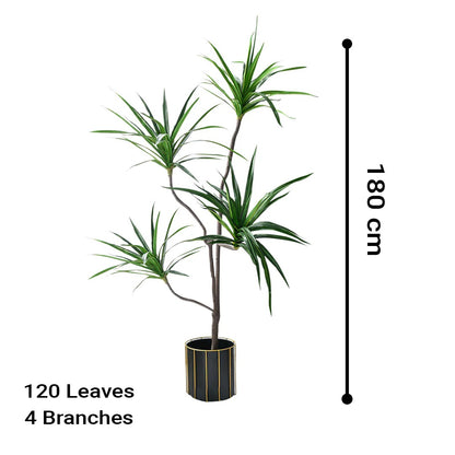 Artificial Dracaena Tree 180cm with 4 Heads