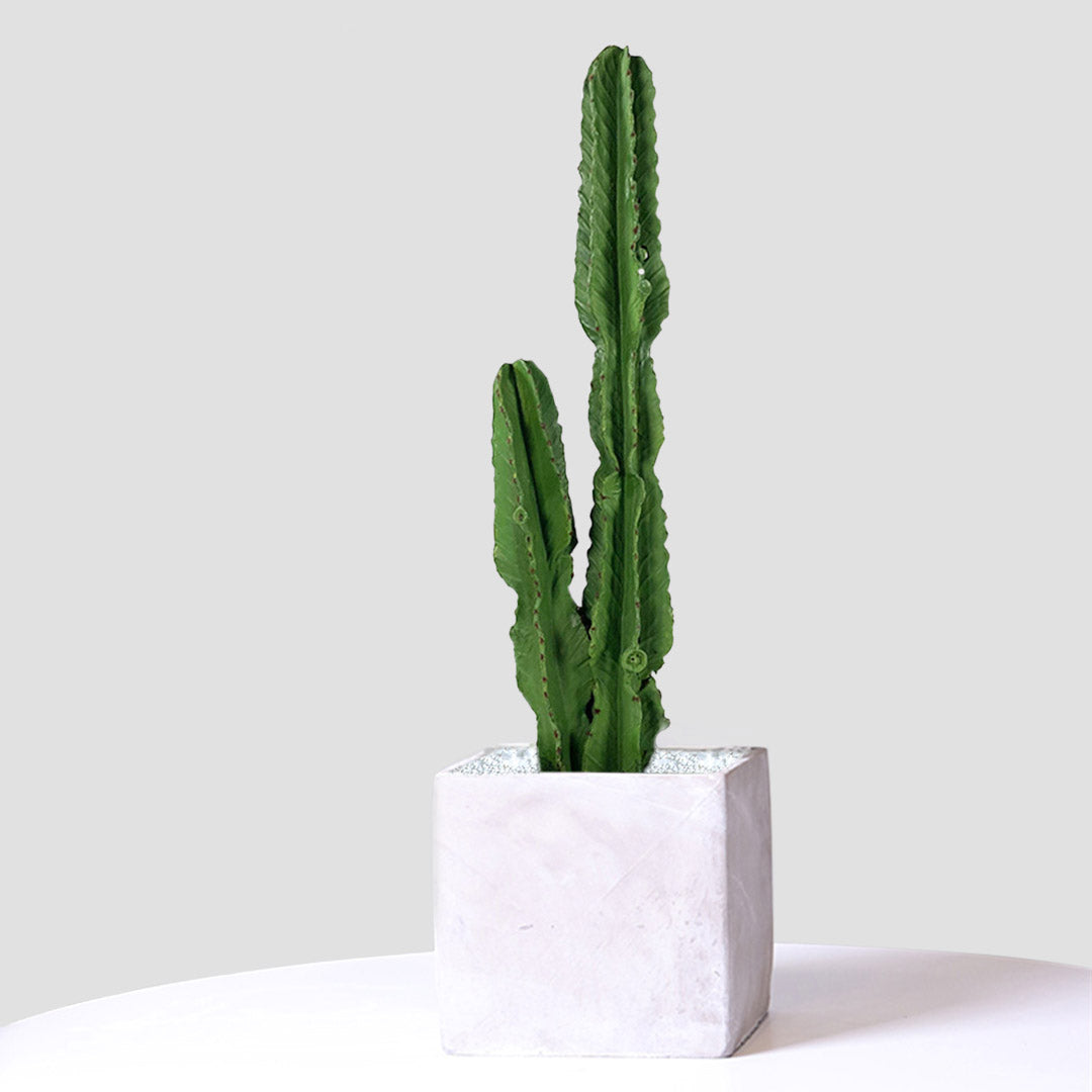 Artificial Cactus Plant 95cm with 2 Heads