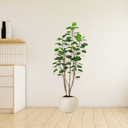 Artificial Polyscias Tree 150cm