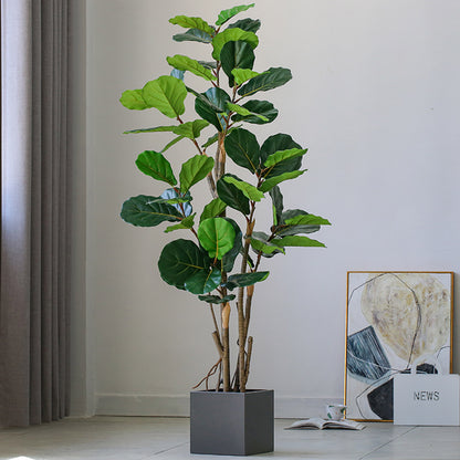 Artificial Polyscias Plant 95cm