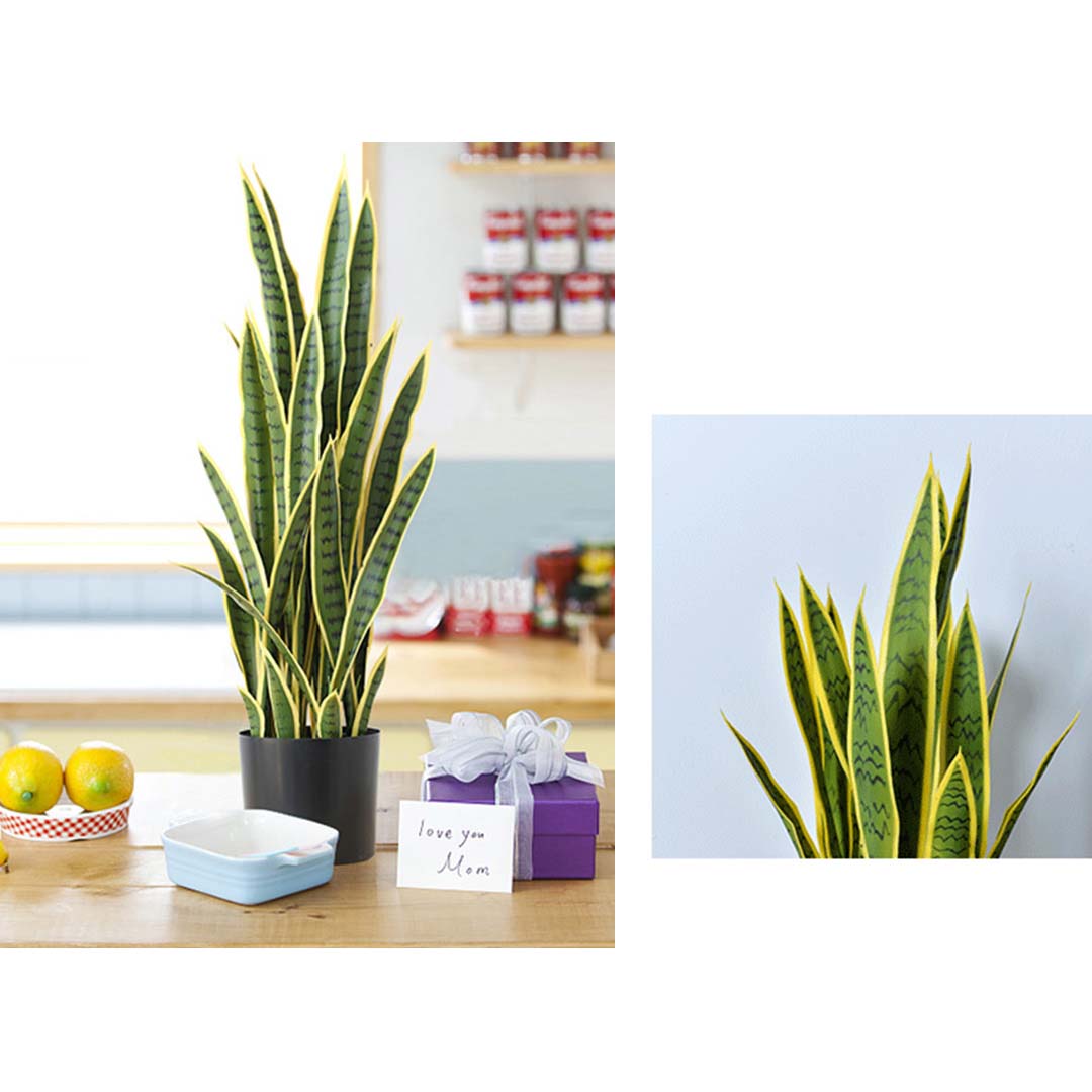 Artificial Yellow-Edge Snake Plant 95cm