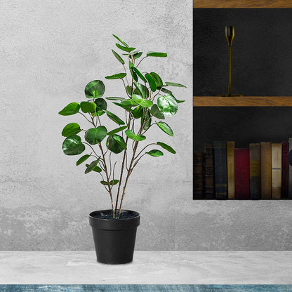 Artificial Polyscias Plant 95cm