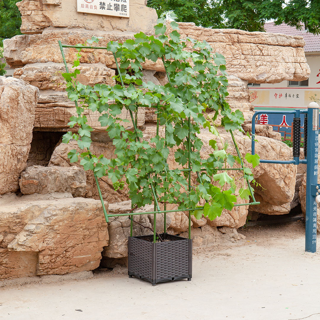 Inclined Garden Trellis Plant Frame 160x160cm