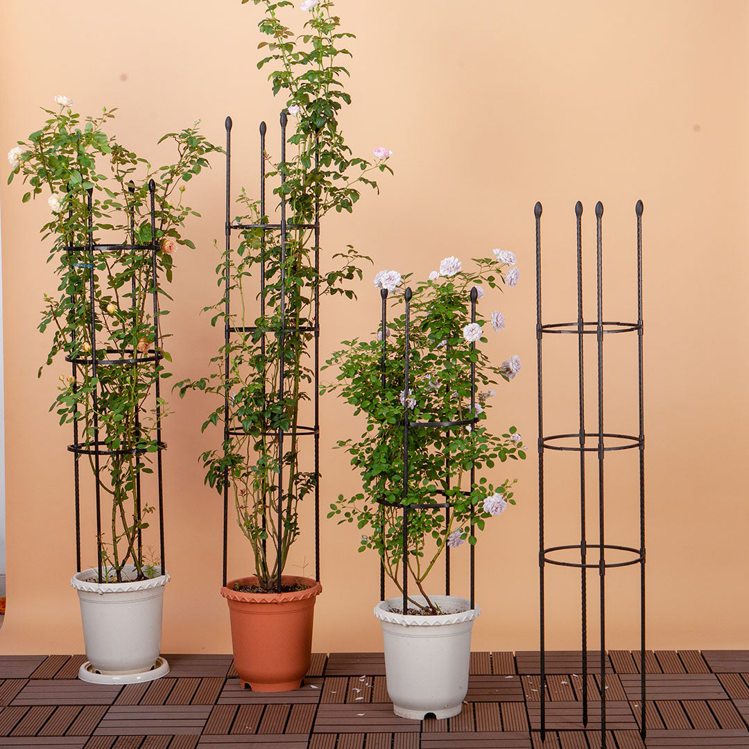 4-Bar Steel Plant Support Frame with Rings 163cm