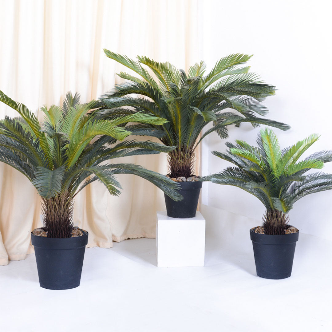 Artificial Sago Palm Cycad Tree 155cm