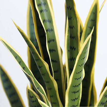 Artificial Yellow-Edge Snake Plant 50cm