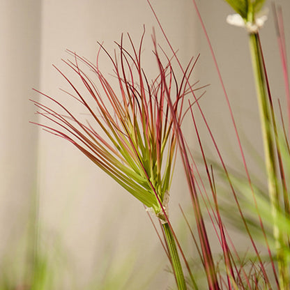 Artificial Papyrus Plant Purple-Red 150cm