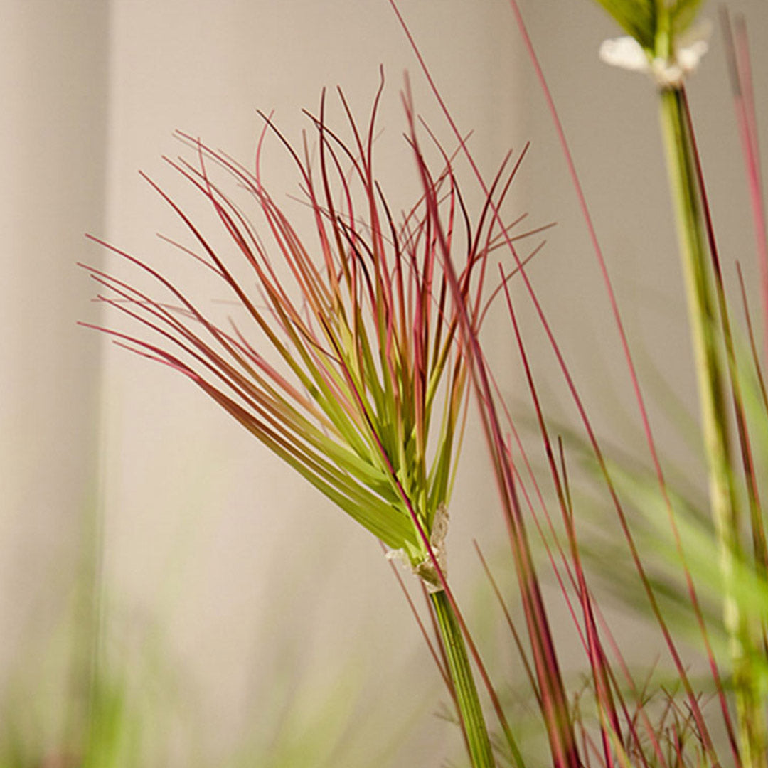Artificial Papyrus Plant Purple-Red 120cm