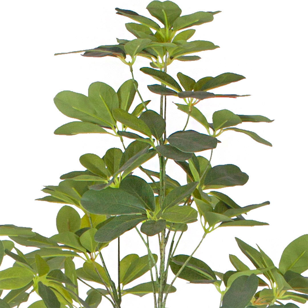 Artificial Schefflera Umbrella Tree