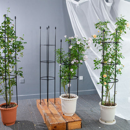 4-Bar Steel Plant Support Frame with Rings 163cm