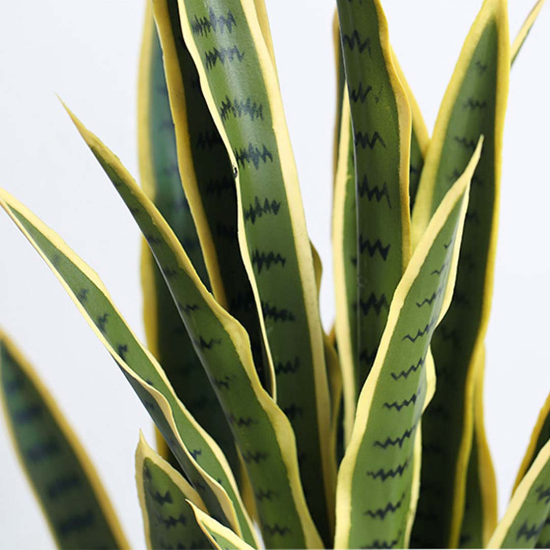 Artificial Yellow-Edge Snake Plant 70cm