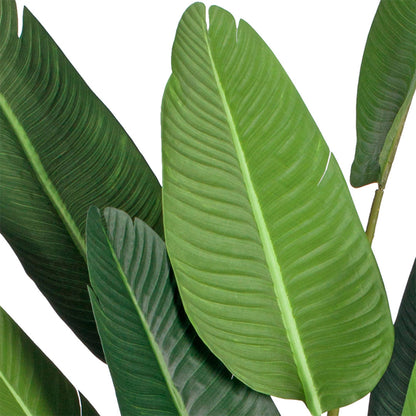Giant Artificial Bird of Paradise Tree 220cm