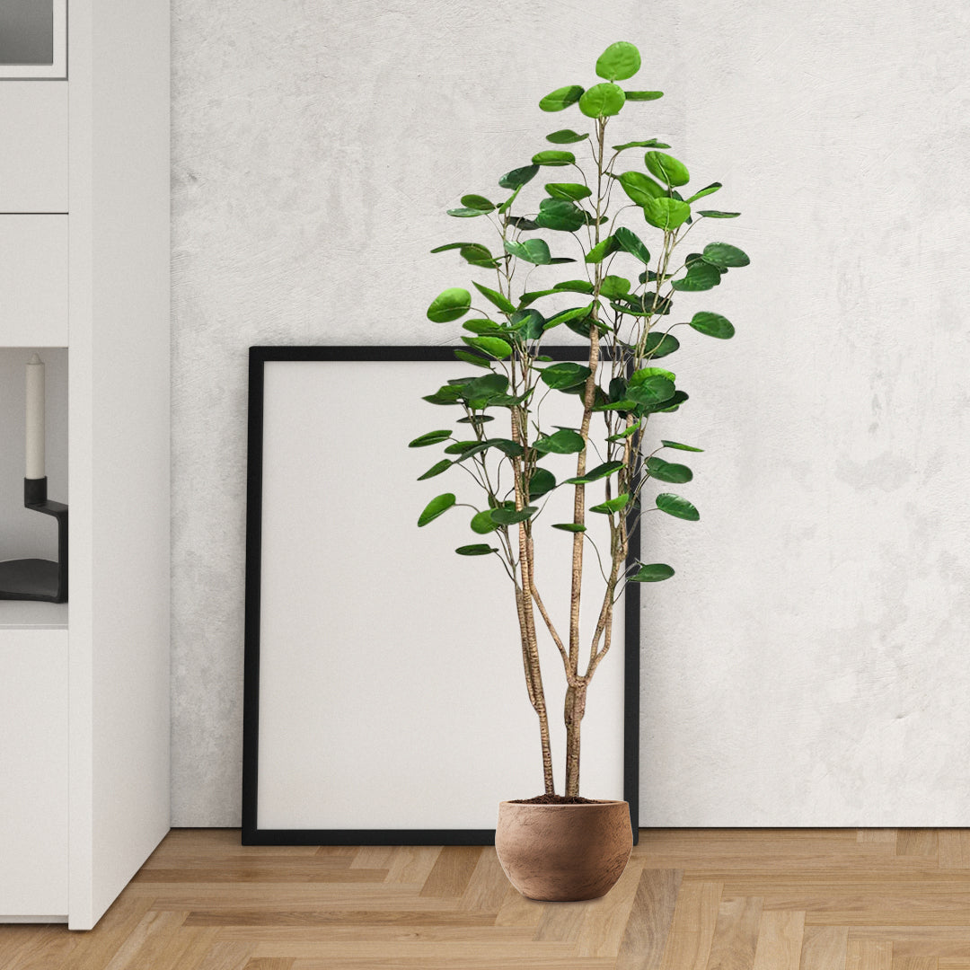 Large Artificial Polyscias Tree 180cm