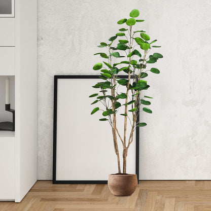 Large Artificial Polyscias Tree 180cm