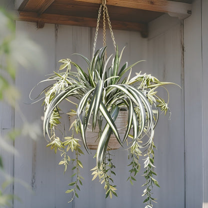 Artificial Faux Hanging Spider Plant Bush 60cm