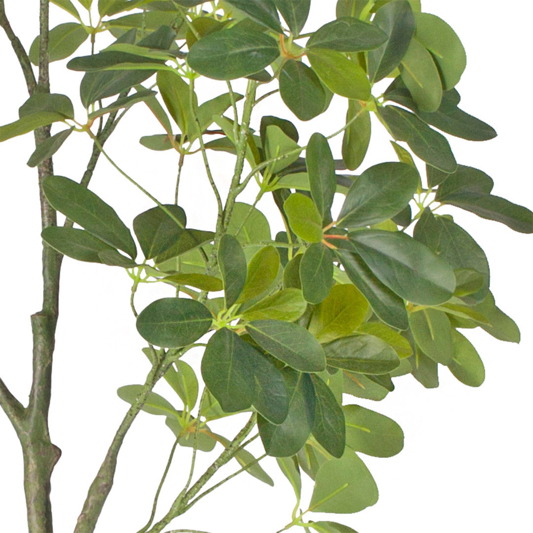 Artificial Schefflera Umbrella Tree