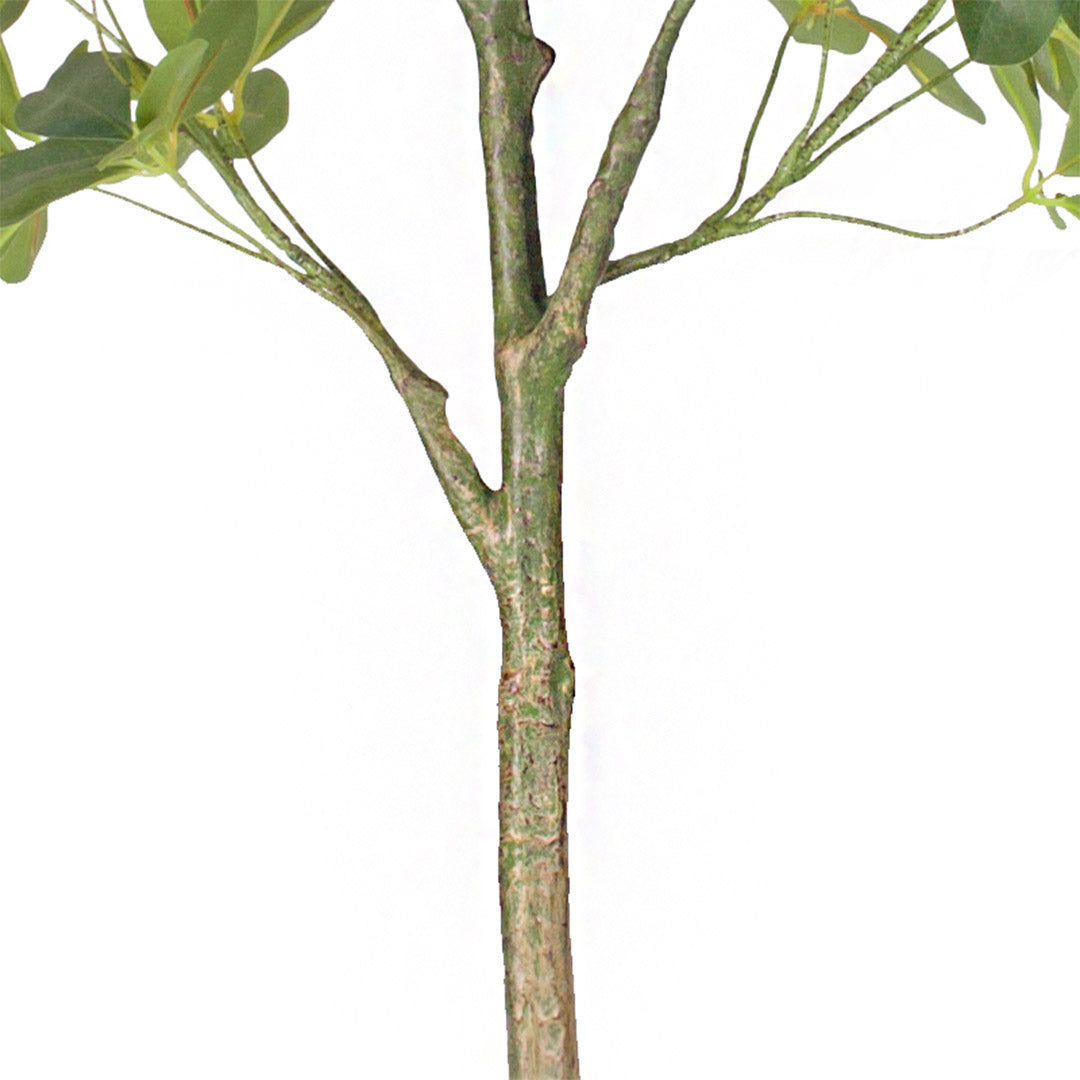 Artificial Schefflera Umbrella Tree