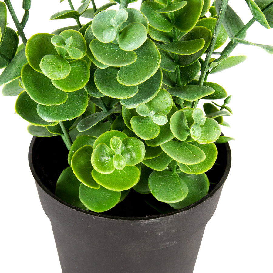 Potted Artificial Eucalyptus Plant 27cm - Image 2