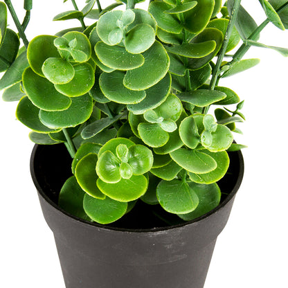 Potted Artificial Eucalyptus Plant 27cm - Image 2