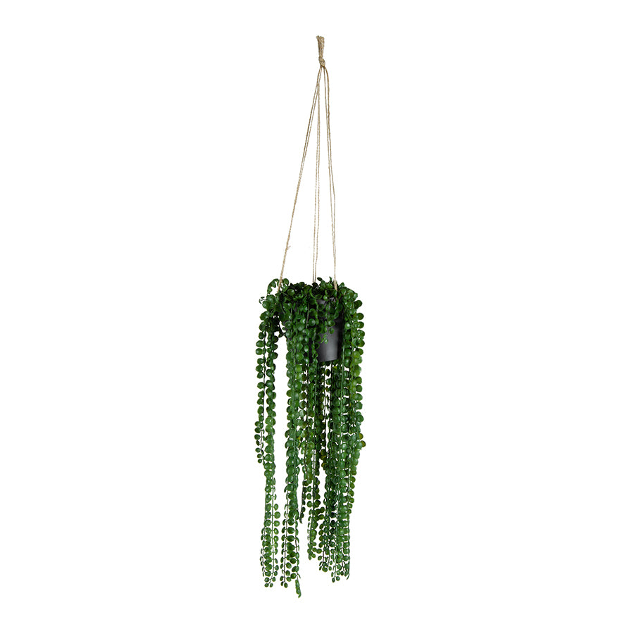 Potted Hanging Artificial Coin Leaf Peperomia 45cm