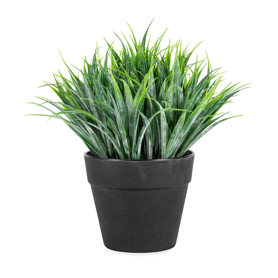 Potted Artificial Green Ponytail Grass 18cm
