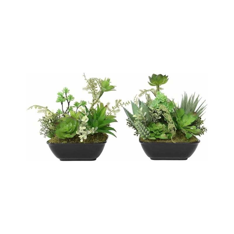 Set 2 Asst Potted Artificial Succulents 19cm