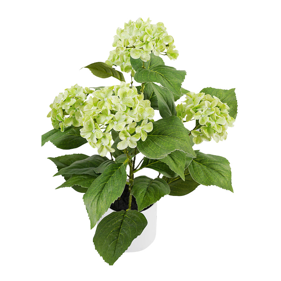 Potted Artificial Green Hydrangea 50cm - Image 5