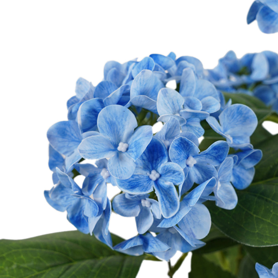 Potted Artificial Blue Hydrangea 50cm - Image 3