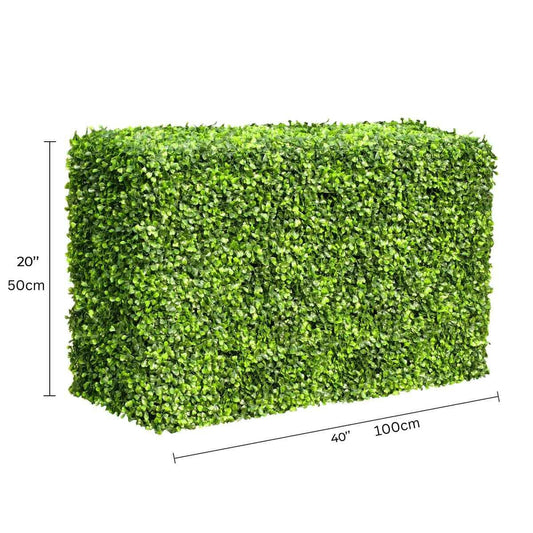 Mixed Boxwood Hedge UV Resistant 100cm Long x 50cm High - Image 2