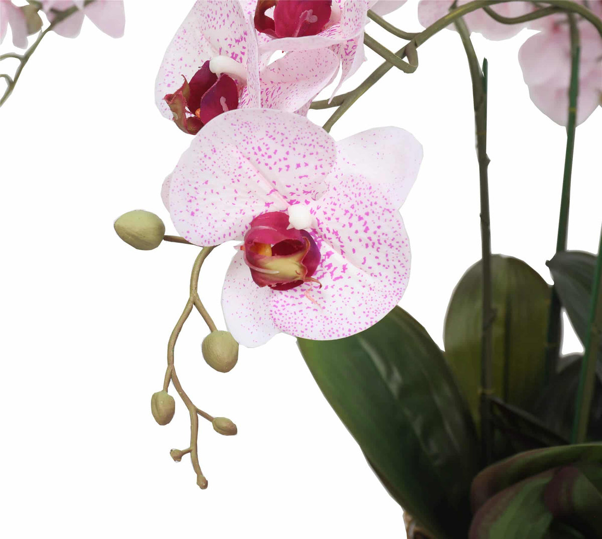 66cm Multi Stem Butterfly Artificial Potted Orchid With Pink Flowers - Image 4