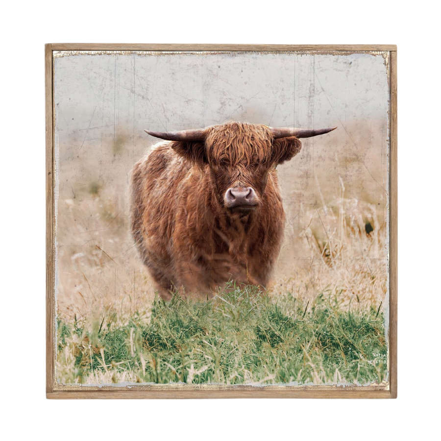 Standing Highland Cow Framed Canvas 42cm