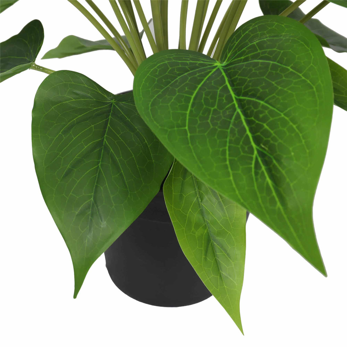 Artificial Flowering White & Pink Peace Lily / Calla Lily Plant 50cm - Image 4