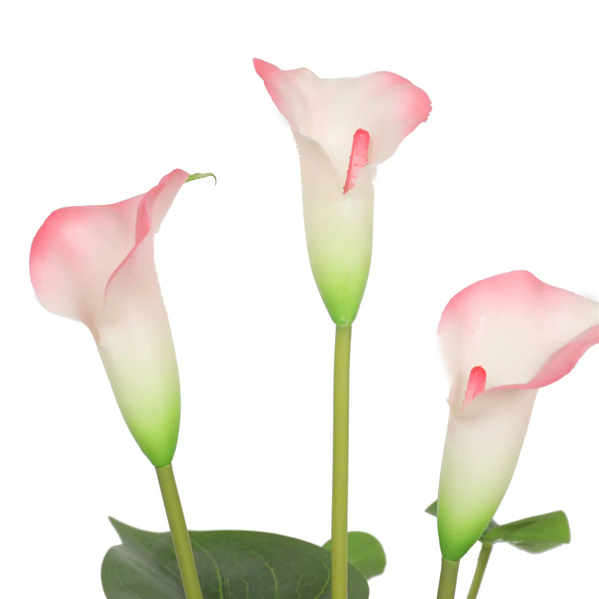 Artificial Flowering White & Pink Peace Lily / Calla Lily Plant 50cm - Image 3