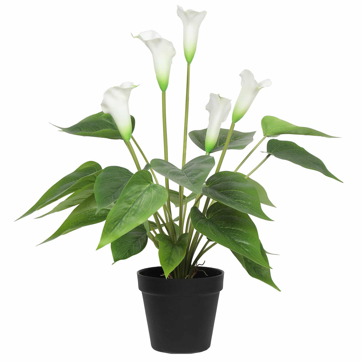 Stunning Lifelike Lilies Bundle - Image 3
