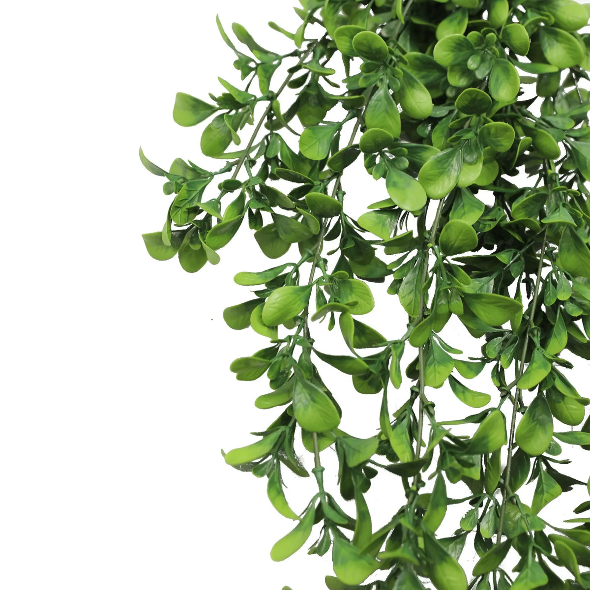 Artificial Creeping Fig Garland Bush UV Resistant and Fire Rated 18cm x 76cm - Image 4