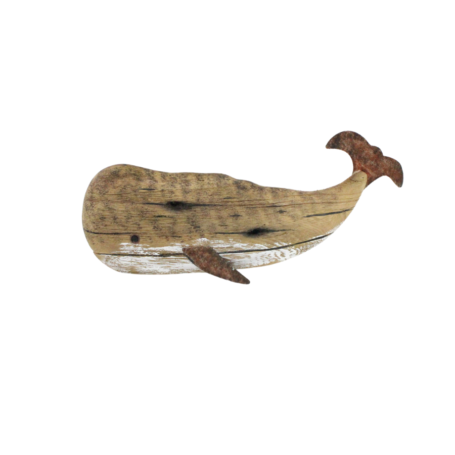 Carter The Whale Medium 13cm