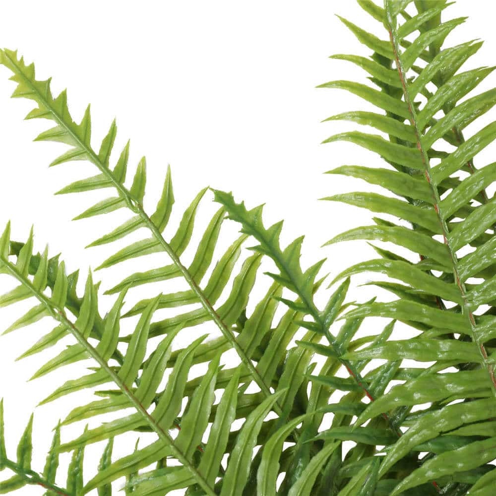 Artificial Fern (Lady Fern) 50cm UV Resistant - Image 3