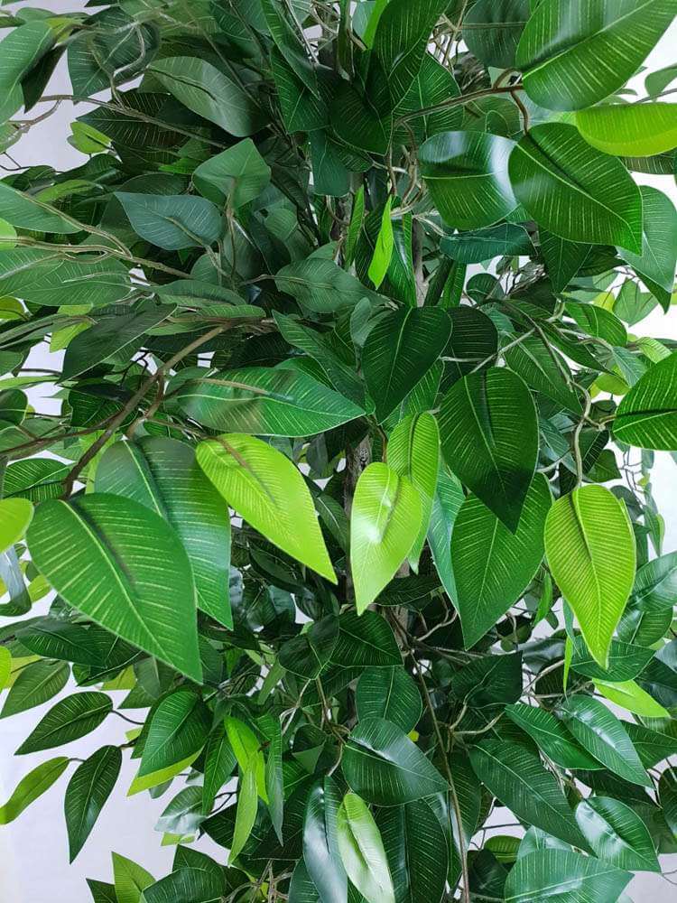 Mixed Green Bushy Artificial Ficus Tree 180cm - Image 3