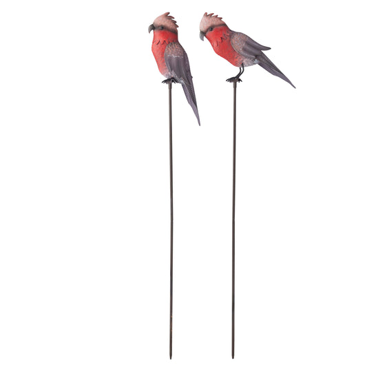 Set 2 Asst Galahs On Stakes 78cm