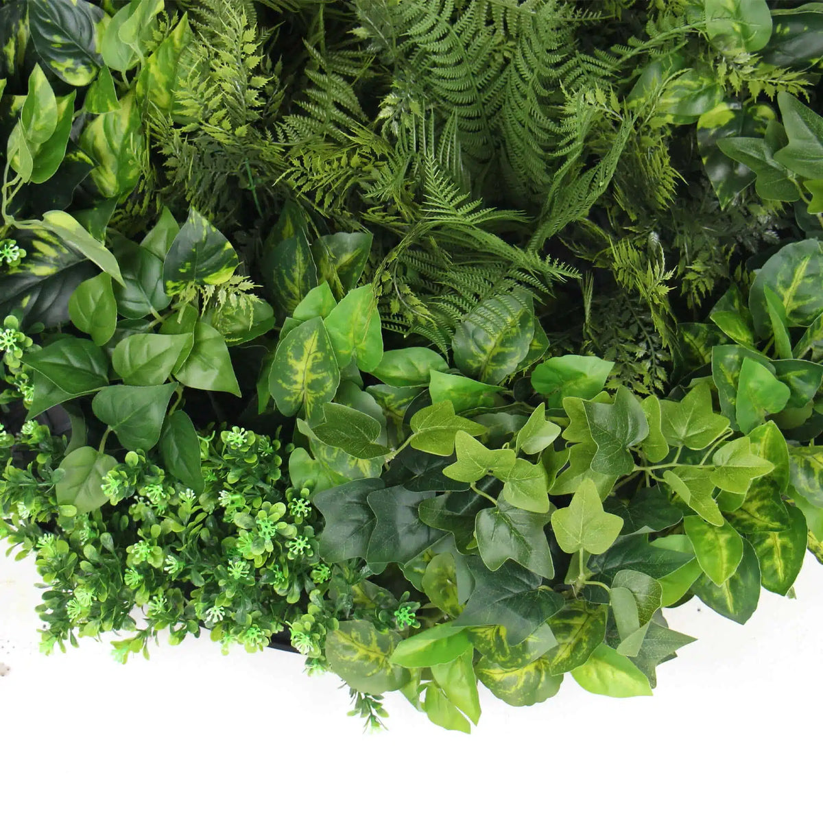 Slimline Artificial Green Wall Disc Art 80cm Mixed Green Fern & Ivy (Modern Black) - Image 4