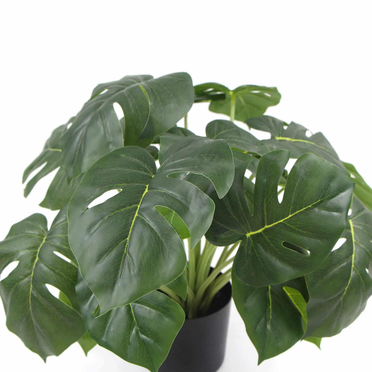 Dense Potted Artificial Monstera Deliciosa Plant With Real Touch Leaves 50cm - Image 4