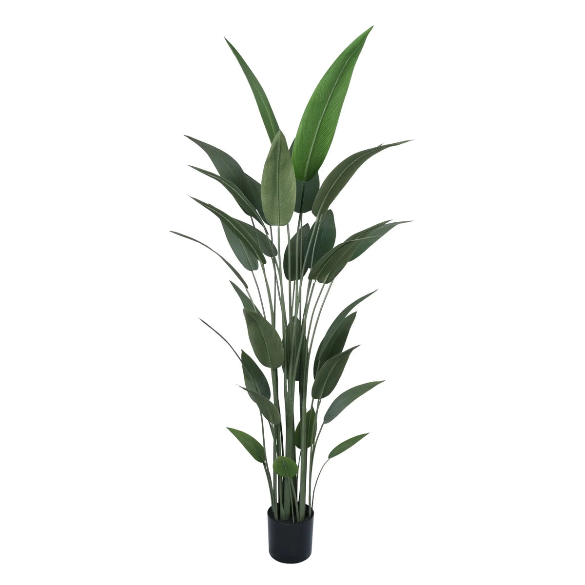 Premium Artificial Bird of Paradise 210cm