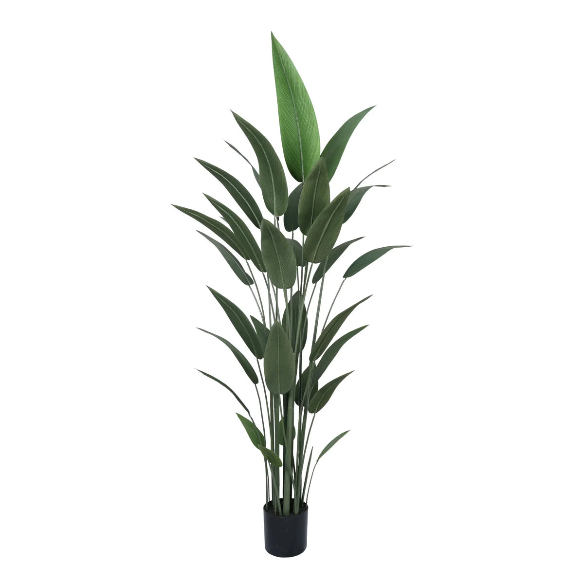 Premium Artificial Bird of Paradise 210cm