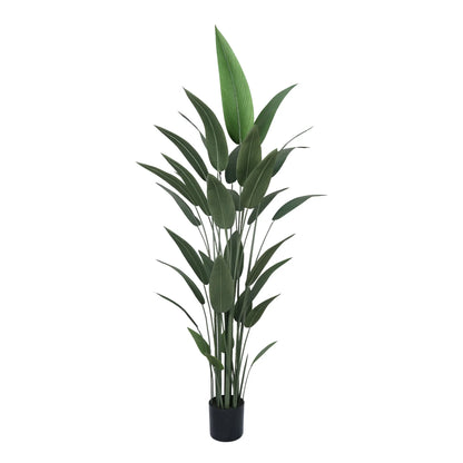 Premium Artificial Bird of Paradise 210cm