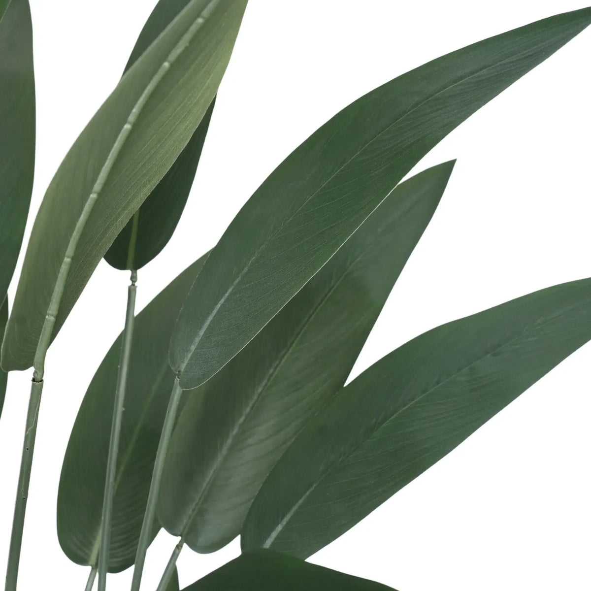 Premium Artificial Bird of Paradise 210cm